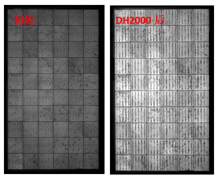 圖13 組件采用VA33含量EVA封裝后，DH2000前后的EL圖